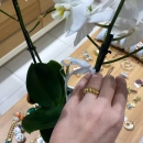 Hareketli Taşlı Carti Top Top Kelepçe