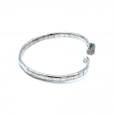 Plaka Yeşil Yılan Ayrık Kelepçe