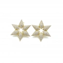 Taşlı Altıgen Yıldız G Küpe