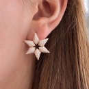 Taşlı Altıgen Yıldız R Küpe