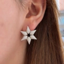 Taşlı Altıgen Yıldız S Küpe