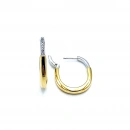 Tify Yarı Taşlı Halka Küpe