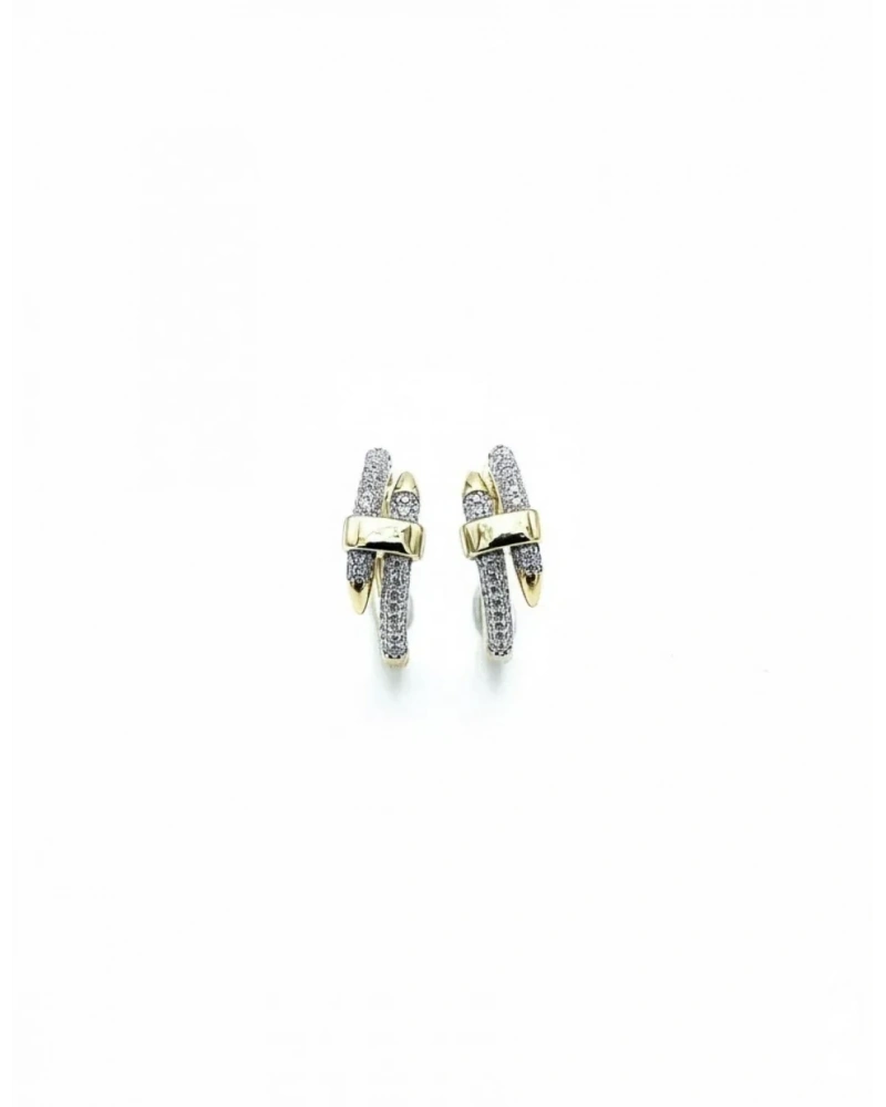 Shiny Taşlı Plaka Küpe