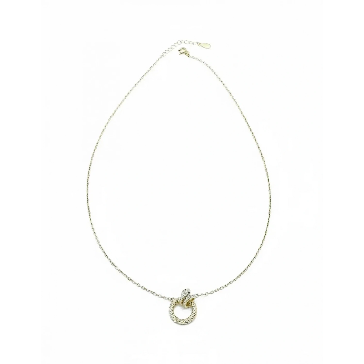 Halkaya Sarılı Yılan Kolye