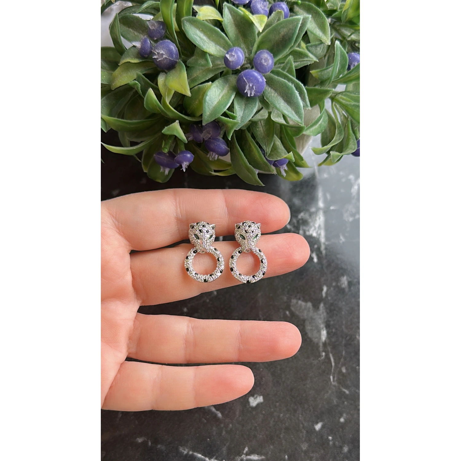 Carti Jag Zebra Circle Küpe