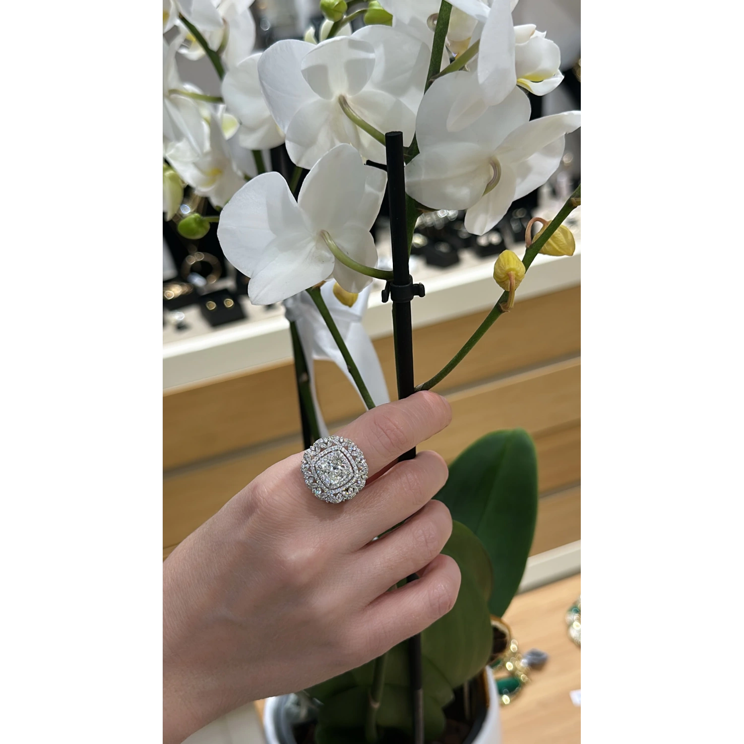 Prenses Markiz Lale Mozanit Yüzük