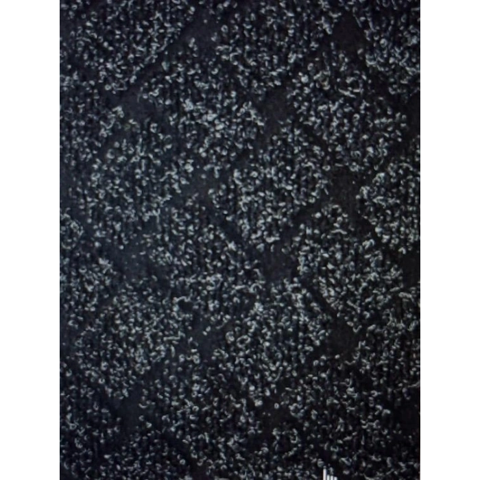 İÇ MEKAN ZEMİN VE OTOMOTİV RULO HALI PASPAS VİYANA