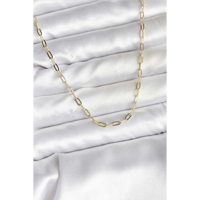 14K Gold Renk Kaplama Ataç Zincir Model CM Kadın Kolye