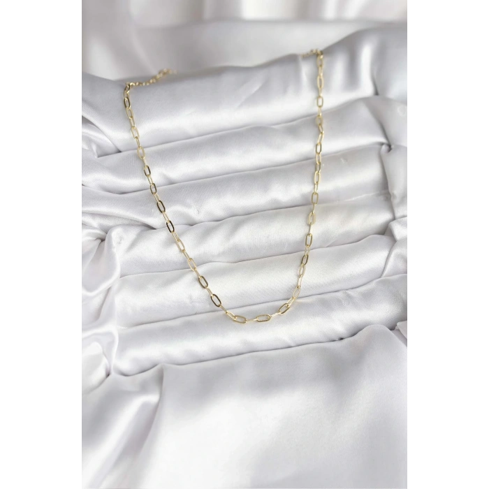 14K Gold Renk Kaplama Ataç Zincir Model CM Kadın Kolye