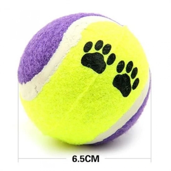 Adshome®  3lü Renkli Desenli Tenis Topu Kedi Köpek Oyuncağı