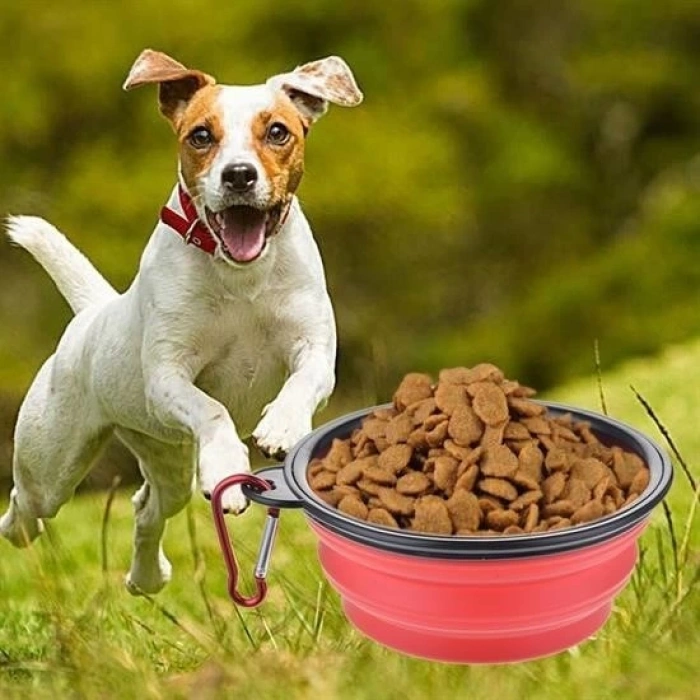 Adshome® Katlanabilir Kedi Köpek Mama ve Su Kabı Köpek Oyuncağı
