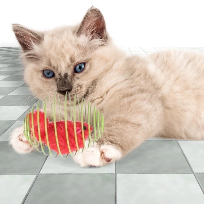 Adshome® Yaylı Metal Fareli Kafes Kedi Oyun Topu Sıçrayan Spiral Kedi Topu