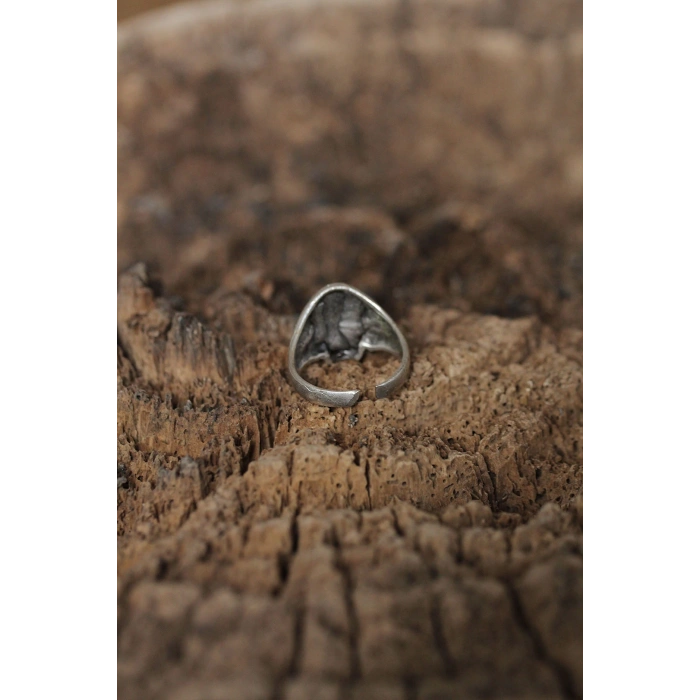 Ayarlanabilir Motifli Kuru Kafa Tasarımlı Erkek Yüzük