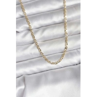 14K Gold Renk Kaplama Ezme Plaka Model CM Kadın Kolye