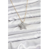 316L Çelik Zincir Gold Renk Zincirli Gümüş Yıldız Model Kadın Kolye