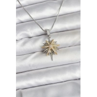 316L Çelik Zincir Gümüş Renk Kutup Yıldızı Model Kadın Kolye