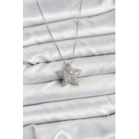 316L Çelik Zincir Gümüş Renk Zincirli Gümüş Yıldız Model Kadın Kolye
