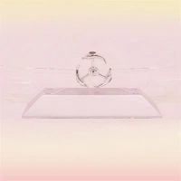 Adshome® Dekoratif Masa Üstü Obje Manyetik Kinetik Orbital Dönen Yunuslar