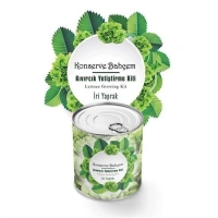 Adshome® Konserve Bahçem Evde Konservede İri Yapraklı Kıvırcık Yetiştirme Kiti