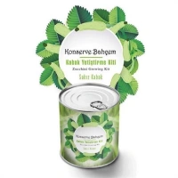 Adshome® Konserve Bahçem Evde Konservede Sakız Kabak Yetiştirme Kiti