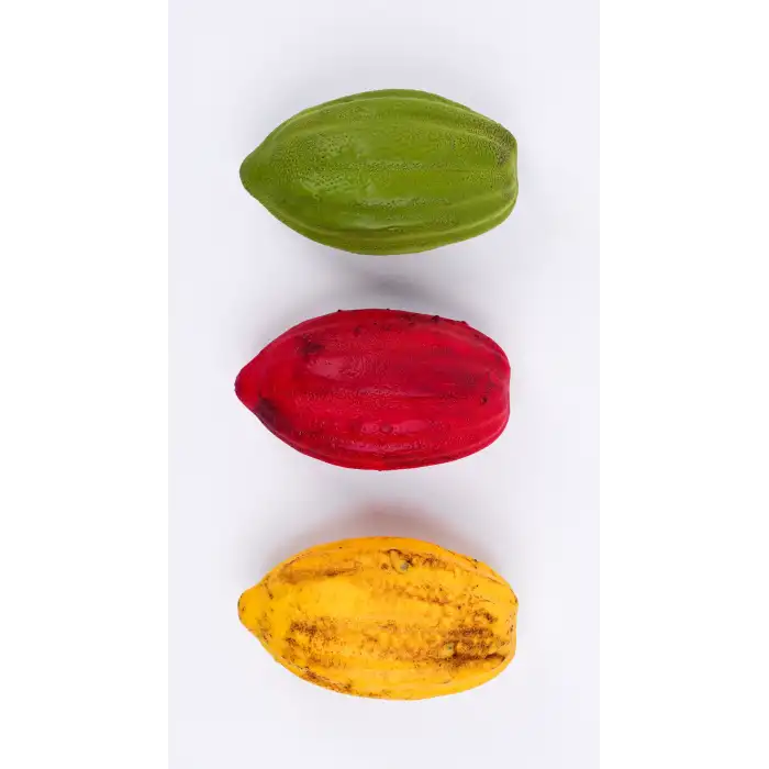 Silikon Kakao Meyvesi Pasta Kalıbı