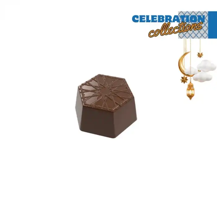 Polikarbon Special Pralin Çikolata Kalıbı 10 gr | Cm-3810