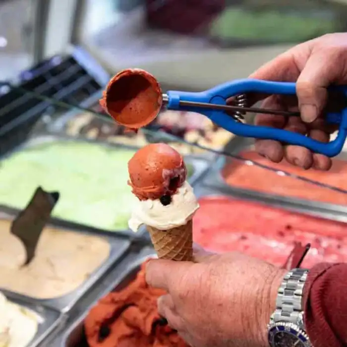 Jolly Profesyonel Dondurma Makası 46 Mm (P-70/36B)