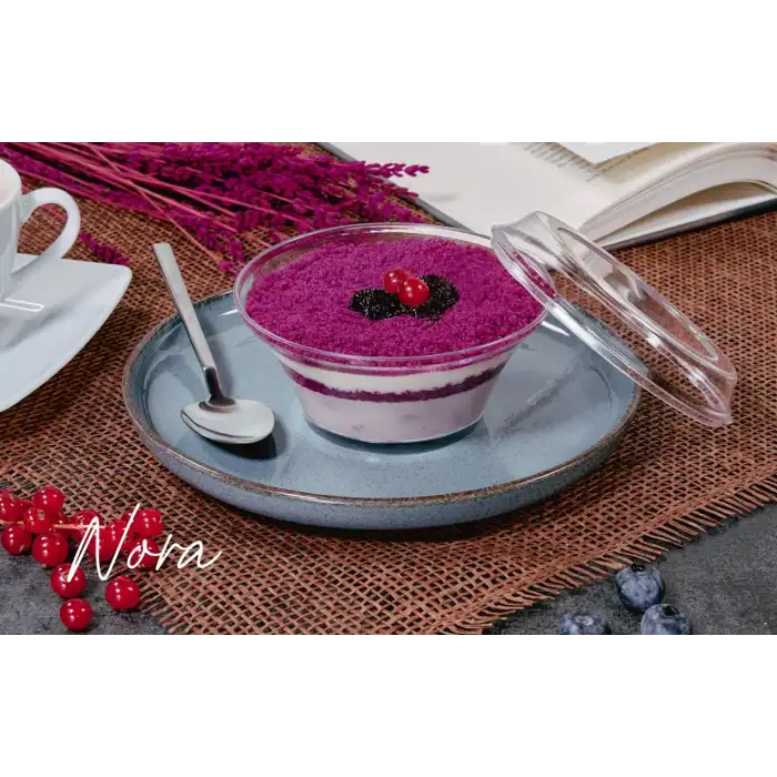 Nora Şeffaf Plastik Kapaklı Kutu 270 cc -(500 ADET)