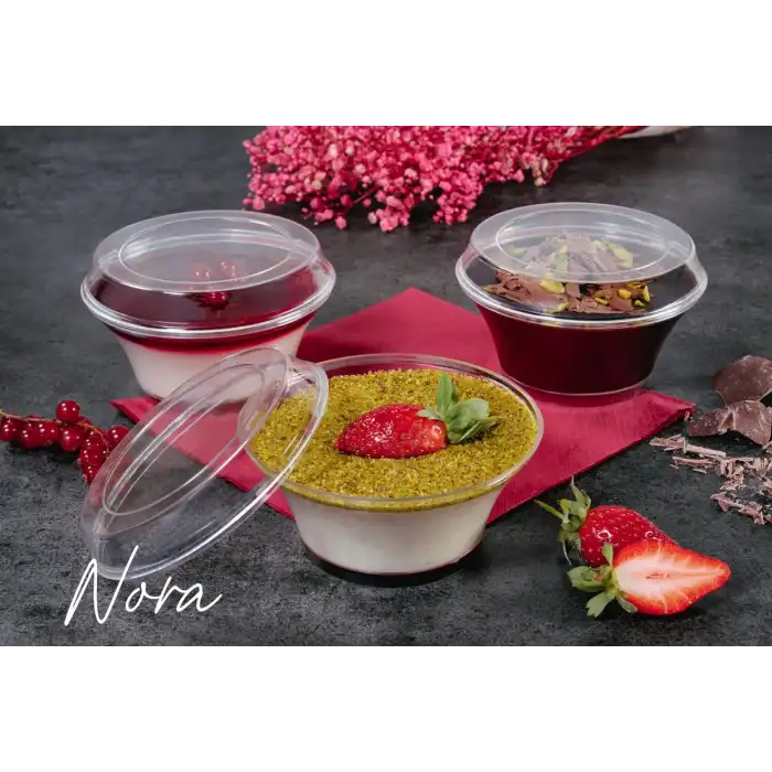 Nora Şeffaf Plastik Kapaklı Kutu 270 cc -(500 ADET)