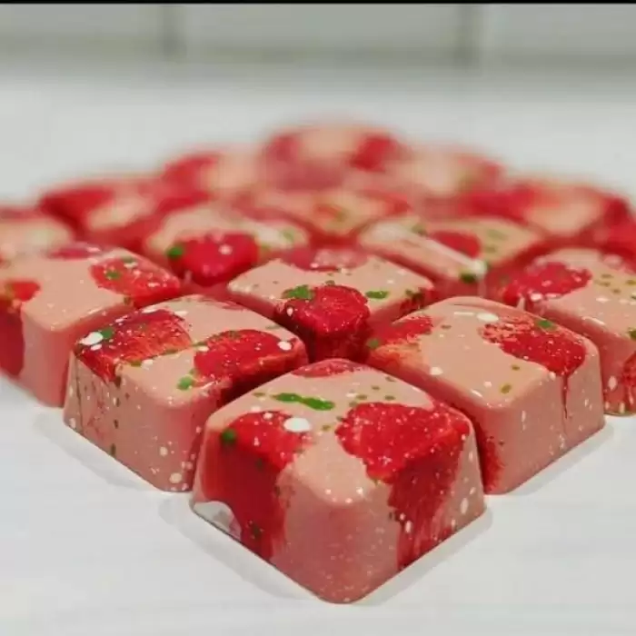 Polikarbon Kare Pralin Çikolata Kalıbı 12.8 gr | Cm-3261