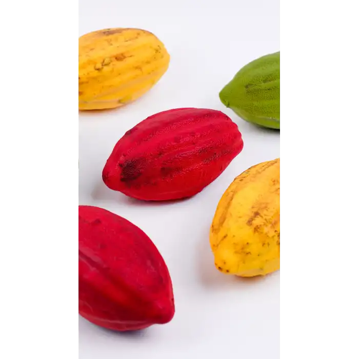 Silikon Kakao Meyvesi Pasta Kalıbı