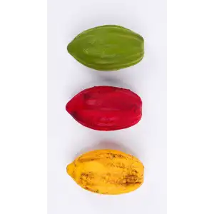 Silikon Kakao Meyvesi Pasta Kalıbı