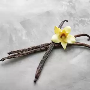 Çubuk Vanilya Kek ve Pasta Kalıbı
