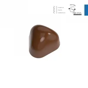 Polikarbon Special Pralin Çikolata Kalıbı 12 gr | Cm-3899