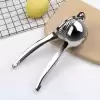 Limon Sıkacağı (LS-01)