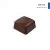 Polikarbon Kare Pralin Çikolata Kalıbı 12.8 gr | Cm-3261