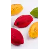 Silikon Kakao Meyvesi Pasta Kalıbı
