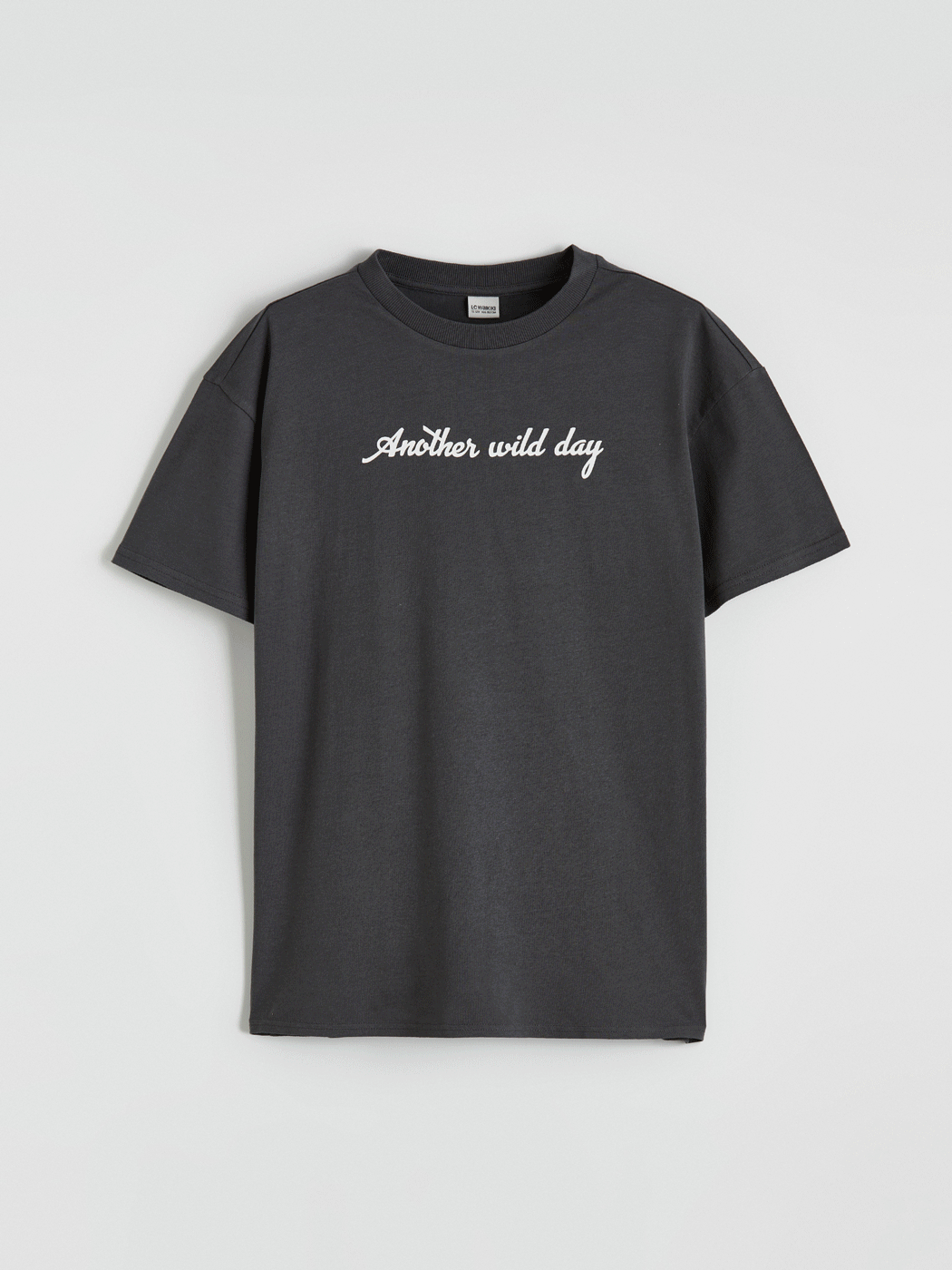 CW Kids Antrasit Bisiklet Yaka Erkek Çocuk Baskılı Tişört