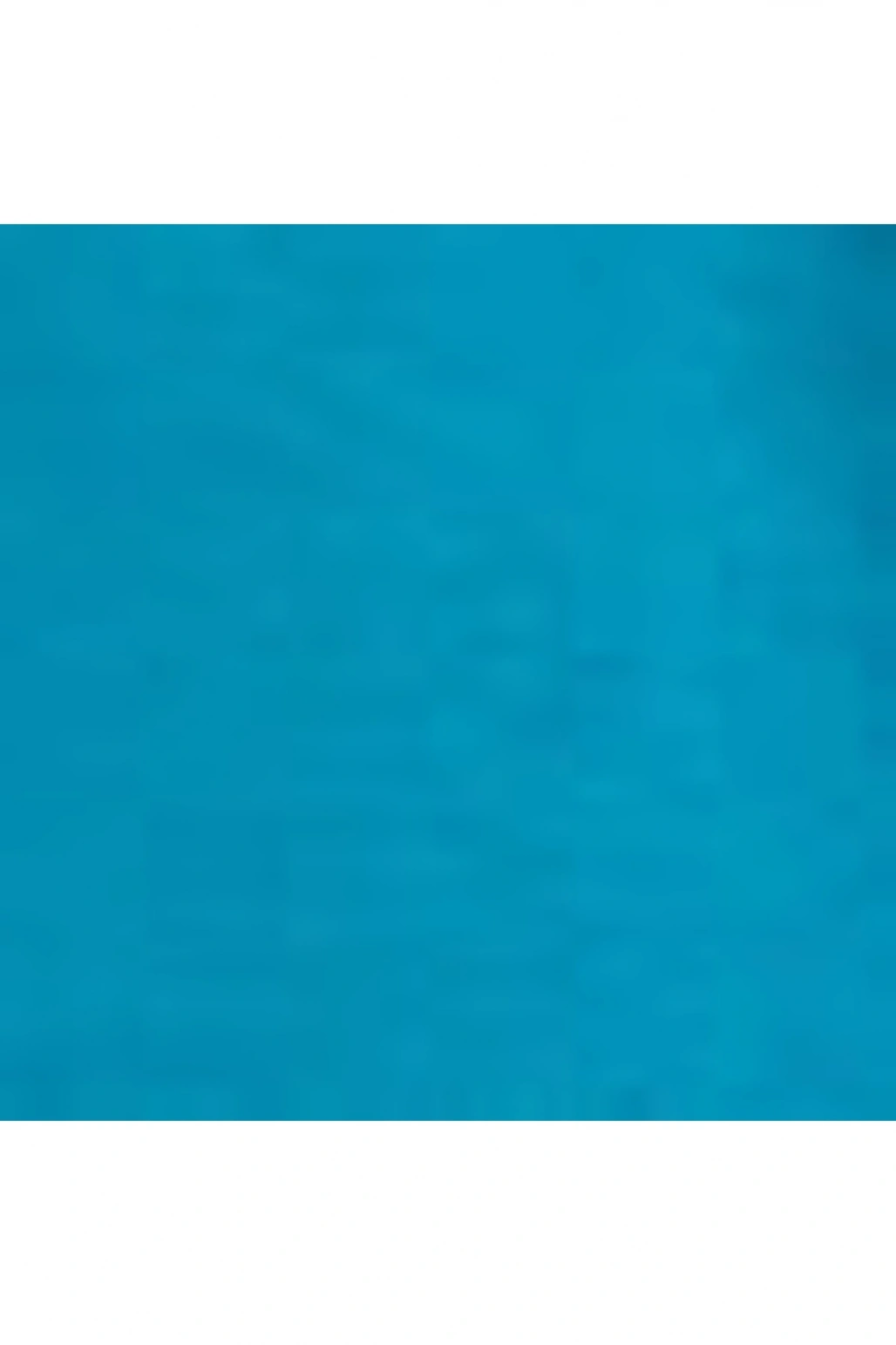 Beli Lastikli Düz Cep Detaylı Kadın Bermuda Şort