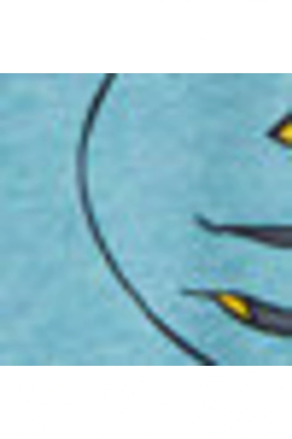 Kk.tsh.b,ınt-carso (S2)