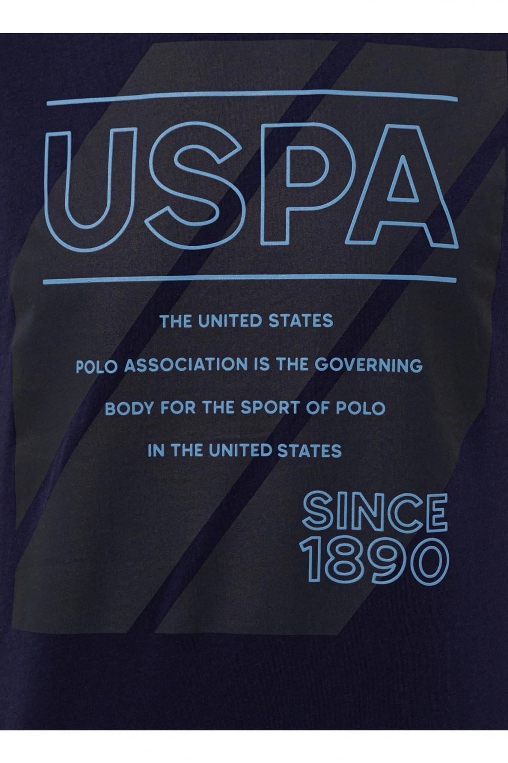 Bisiklet Yaka Lacivert Erkek T-shirt Beder