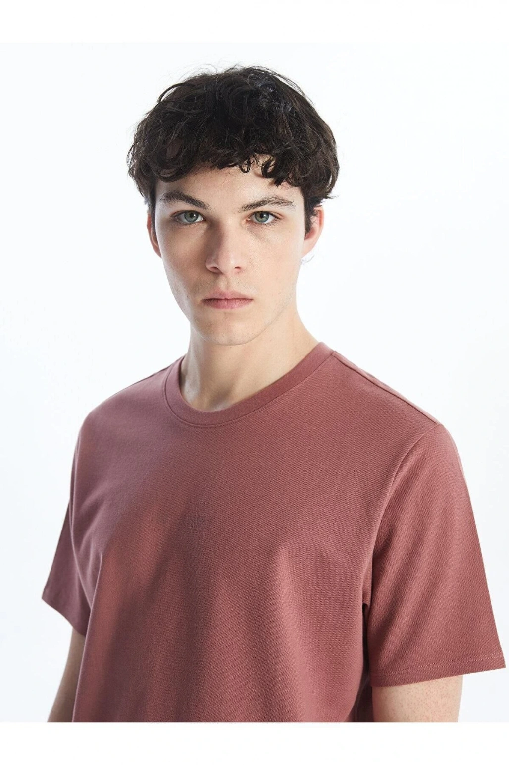 LCW Casual Bisiklet Yaka Kısa Kollu Baskılı Erkek Tişört