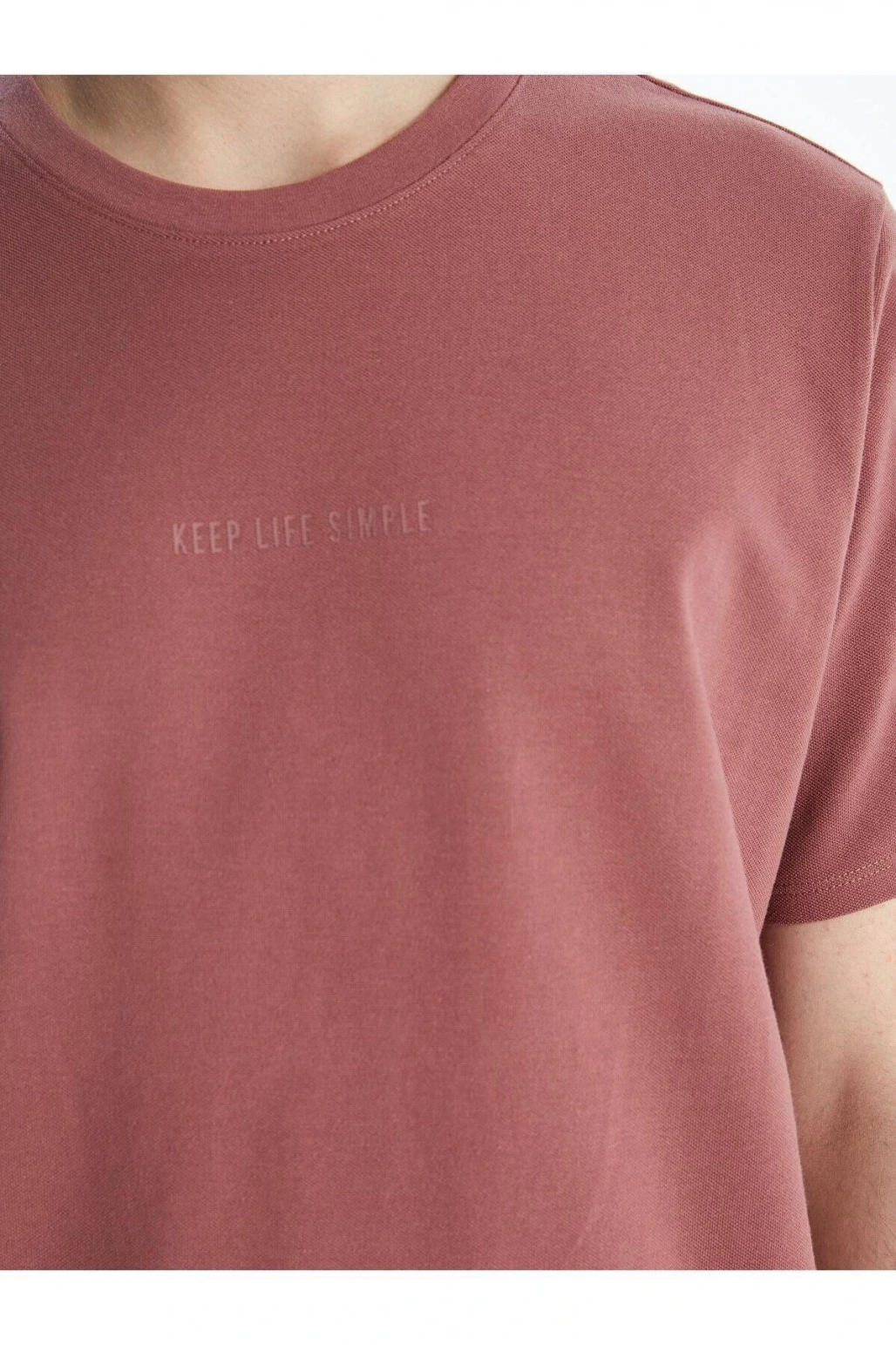 LCW Casual Bisiklet Yaka Kısa Kollu Baskılı Erkek Tişört