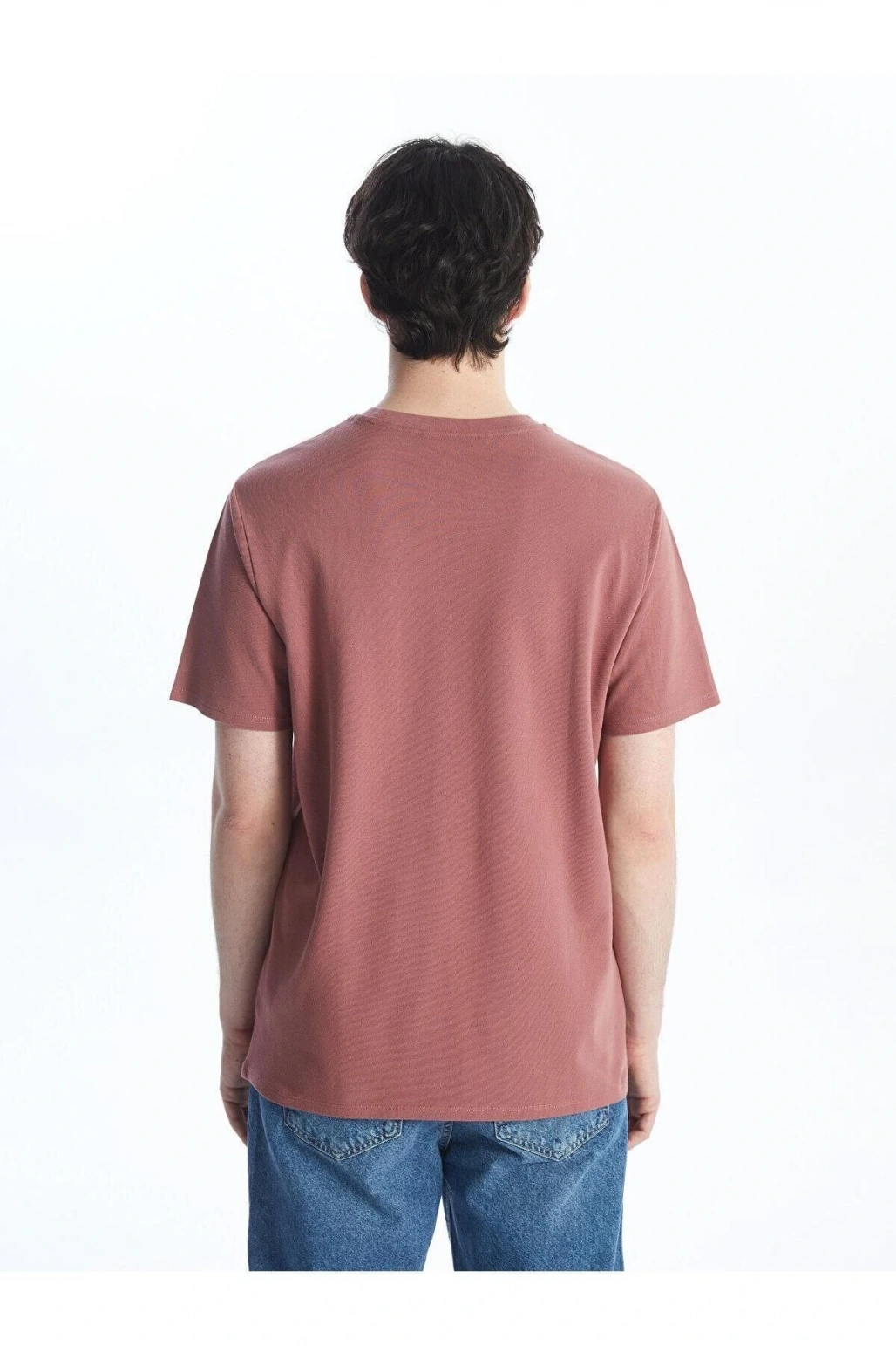 LCW Casual Bisiklet Yaka Kısa Kollu Baskılı Erkek Tişört