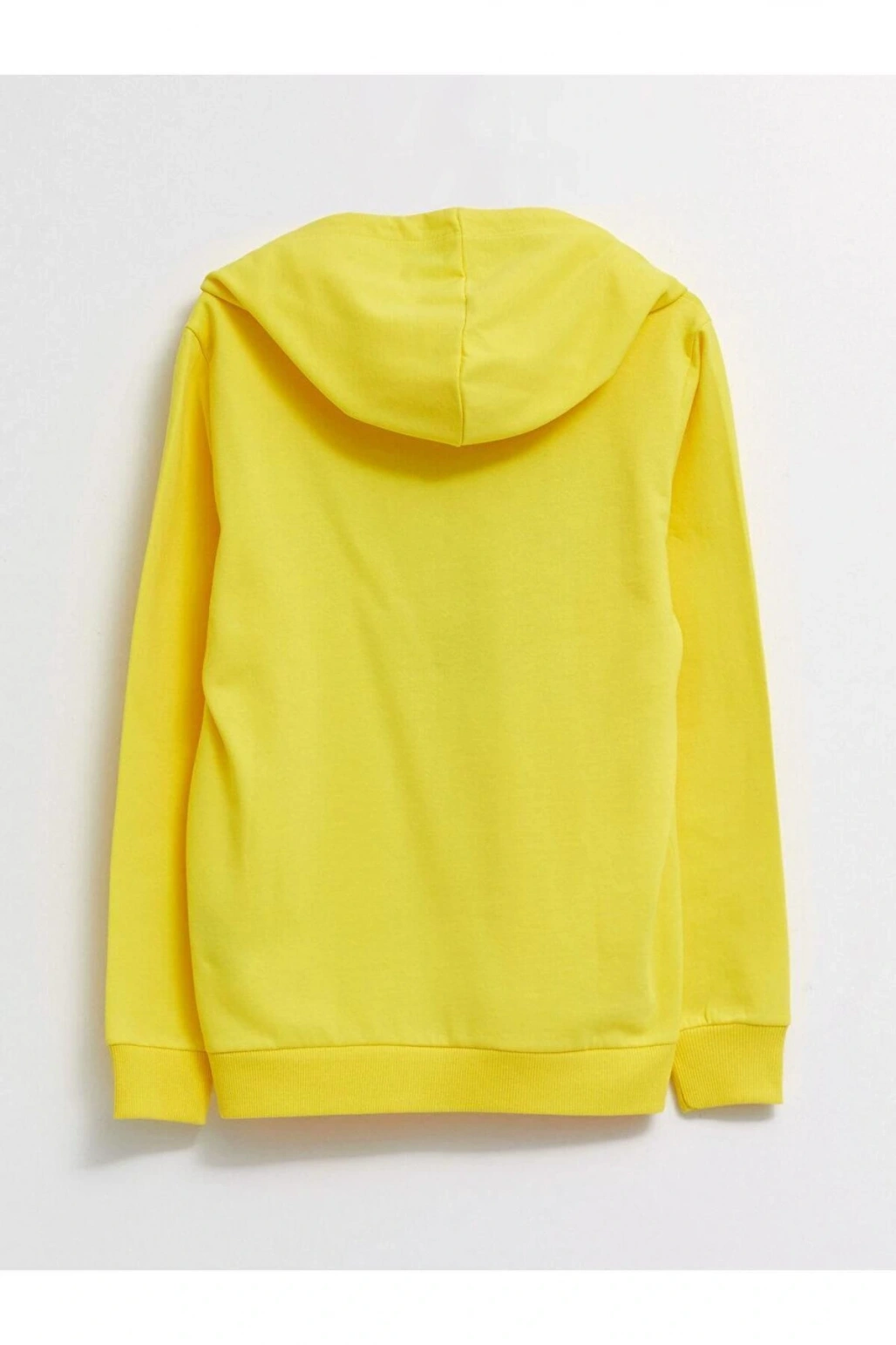 LCW Casual Kapüşonlu Baskılı Uzun Kollu Kadın Sweatshirt