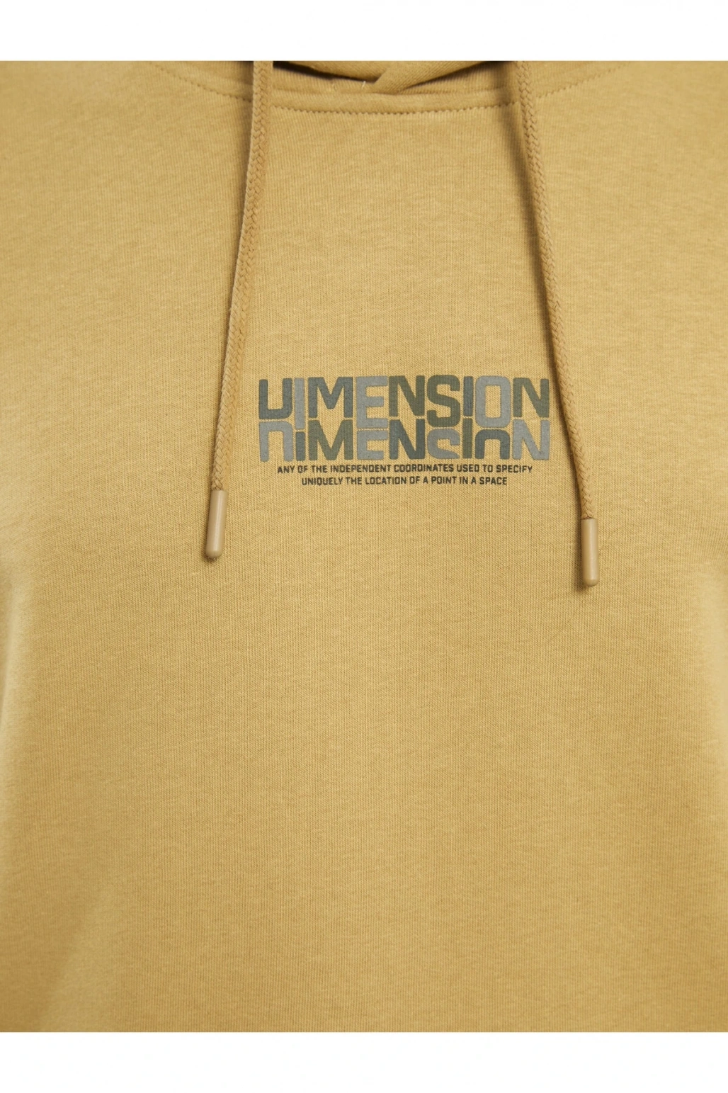 Kapüşonlu Uzun Kollu Baskılı Erkek Sweatshirt