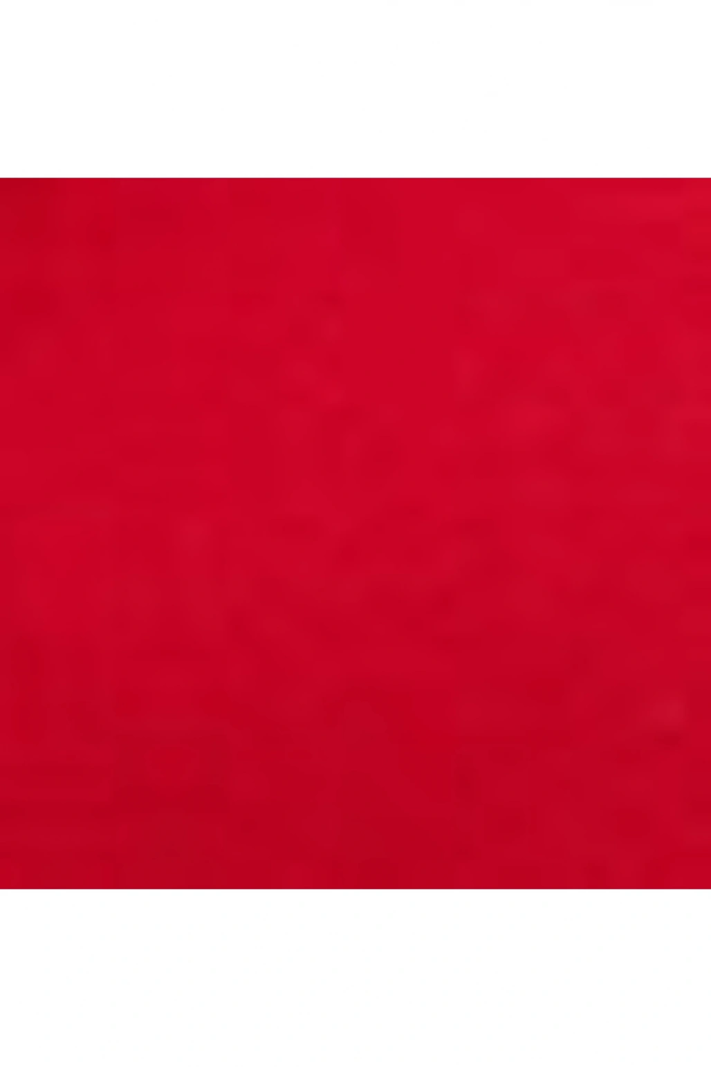 Bisiklet Yaka Düz Uzun Kollu Kadın Sweatshirt