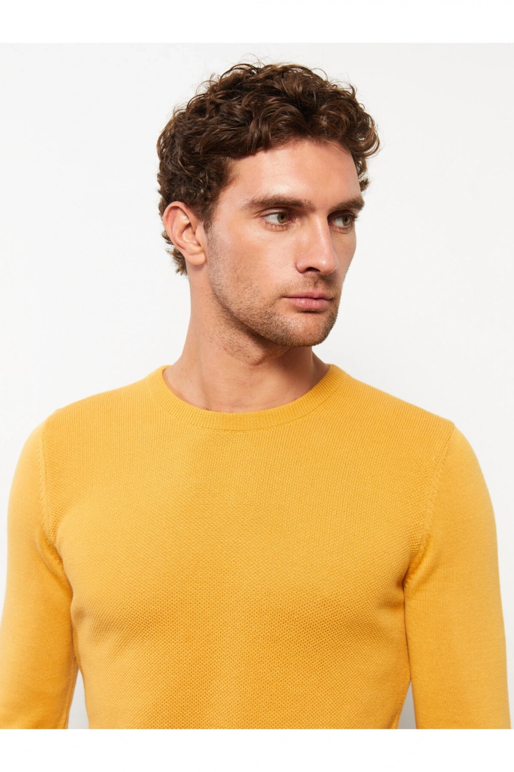 Bisiklet Yaka Uzun Kollu Erkek Triko Kazak