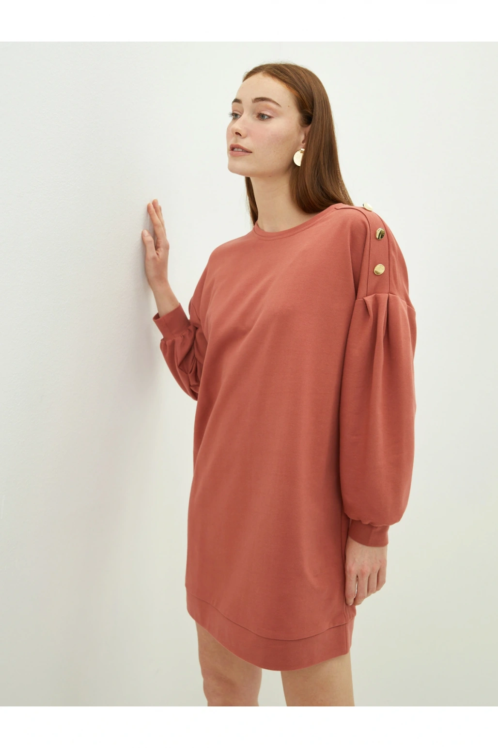 Bisiklet Yaka Düz Uzun Kollu Kadın Elbise