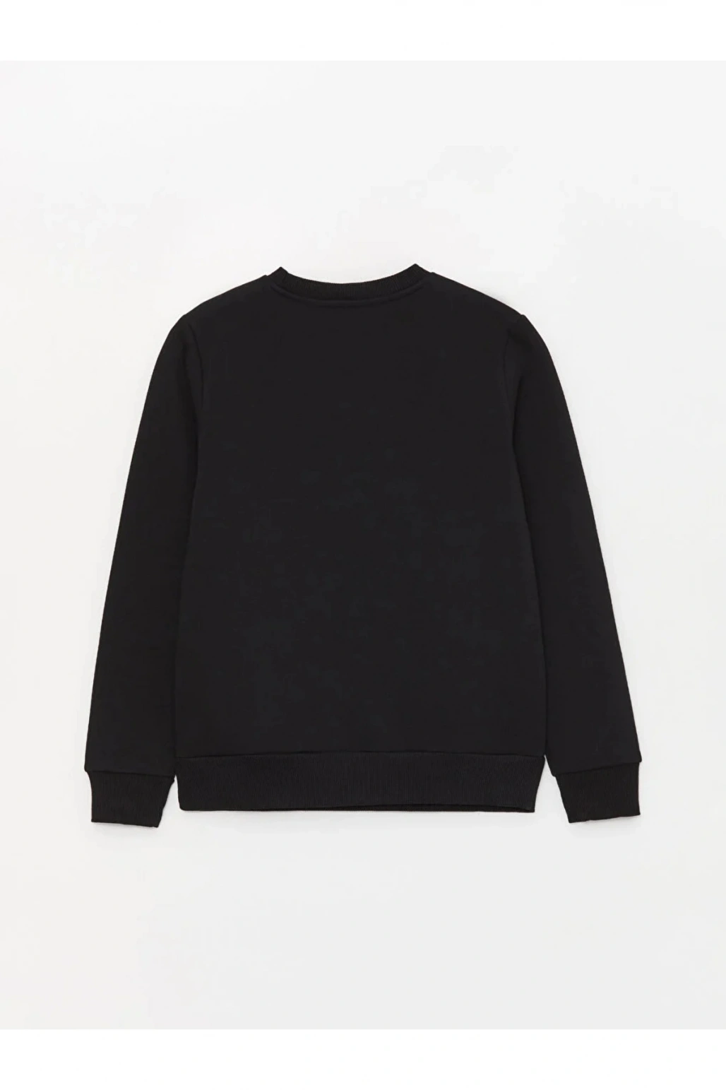 LCW Casual Bisiklet Yaka Baskılı Uzun Kollu Kadın Sweatshirt